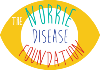 NDF logo